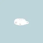 Setoの画像