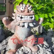 ネイティブ花てぃ〜だ屋ドライフラワー材料の画像