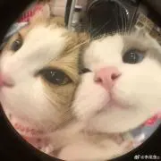 おぬ  【プロフ必読】の画像