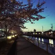 えみりんの画像