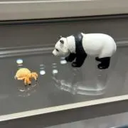 すみれの画像