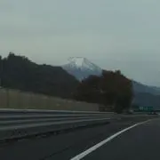 yaaaの画像