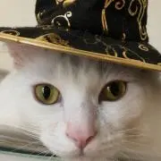 おはぎの画像