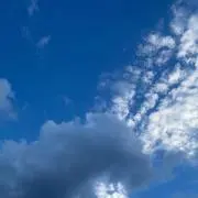 flap