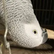 ☆ムック☆