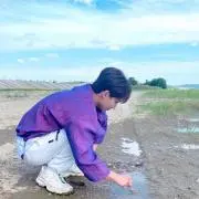 茶の画像