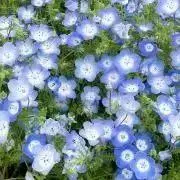 R...♡の画像