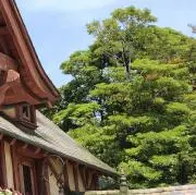 ゆあさの画像