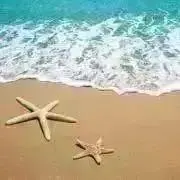 omuo＊出荷再開の画像