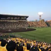 りんりんの画像