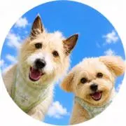 Atelier Kuu&Daiの画像