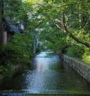 なおぷー