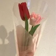 kkk'プロフ必読