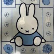 れいちぇるの画像