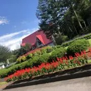 りんりん