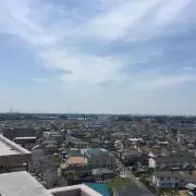 yy