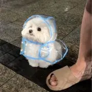 タンの画像