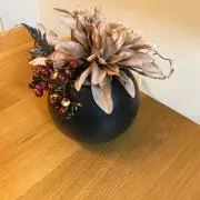 Yucocnの画像