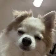 Sou