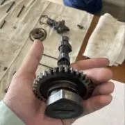 timpomの画像