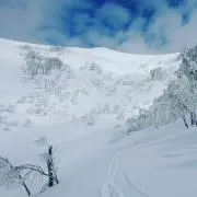 takasanの画像