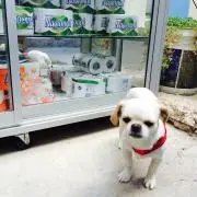 なこるるの画像
