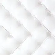 ぽめこの画像