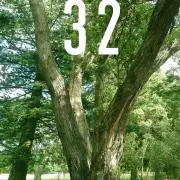 32の画像