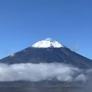 しんの画像