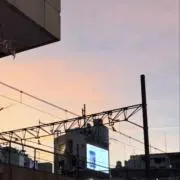 びの画像