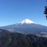 ほだパパ