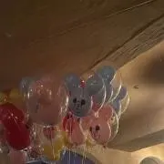 しぐまの画像