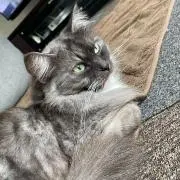⭐️プロフご一読⭐️の画像