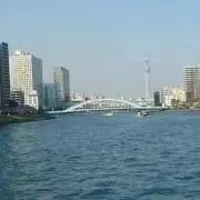 ミッピーの画像