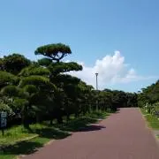 marumeroりんの画像