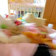 shineの画像