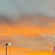 Mの画像