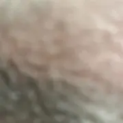 ごまの画像