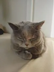ゆざっちの画像