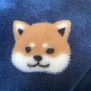 やすいです 【早い発送 安心取引】の画像
