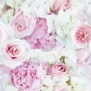 k1ty♡プロフ読んでください。の画像