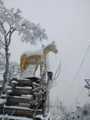 sUzUの画像