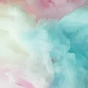 RDの画像