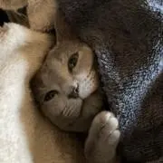 kunkunの画像