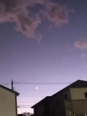 chiruhaの画像