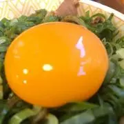 ぷろたんの画像