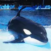 バビロン