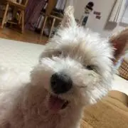 ひろみぃ〜