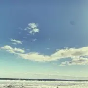 yuririの画像