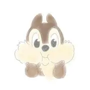 Chipの画像